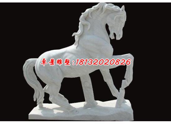 石雕馬,駿馬石雕,漢白玉駿馬雕塑