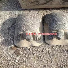 小烏龜石雕,公園動物石雕