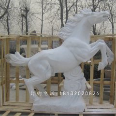 漢白玉石雕馬，廣場石馬雕塑