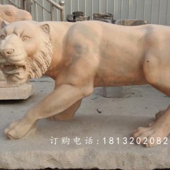 石雕老虎,公園晚霞紅老虎石雕